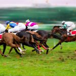 競馬にはいろいろな楽しみがあります